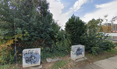Go Concrete CLT